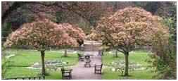 Kingsnorth Gardens