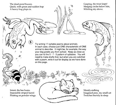 bee, frog, trout and cat