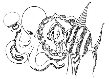 octopus and angel fish