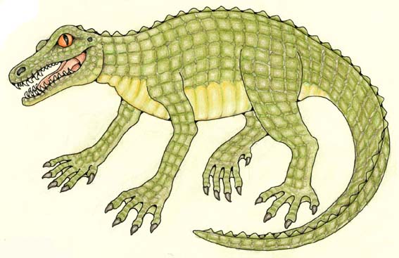 Araripesuchus