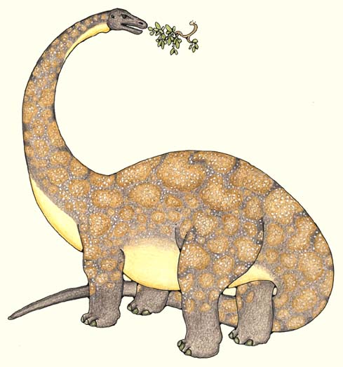 Diplodocus