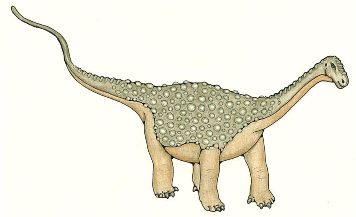 Saltasaurus