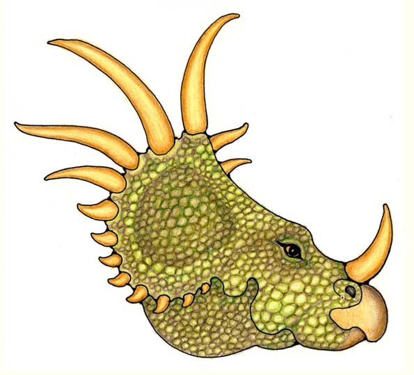 Styracosaurus