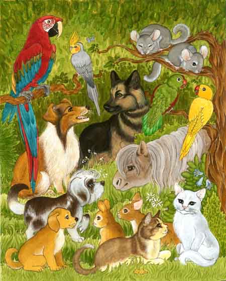 dogs, birds, chinchillas, pony, cats