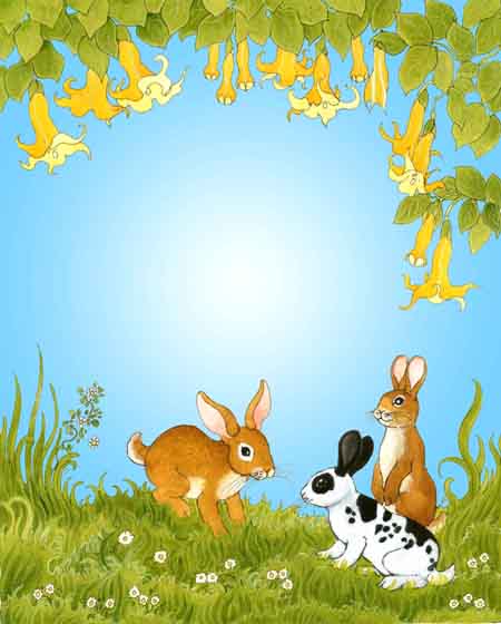 rabbits, datura