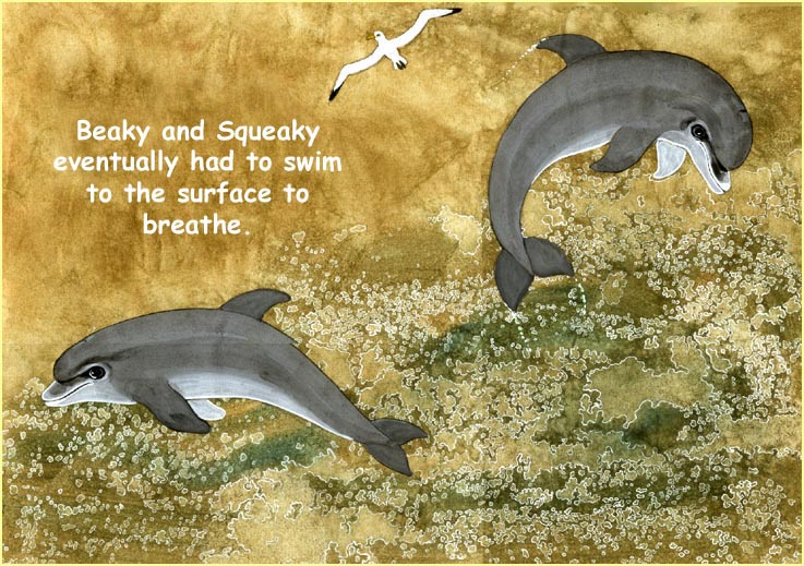 The dolphins come up for air